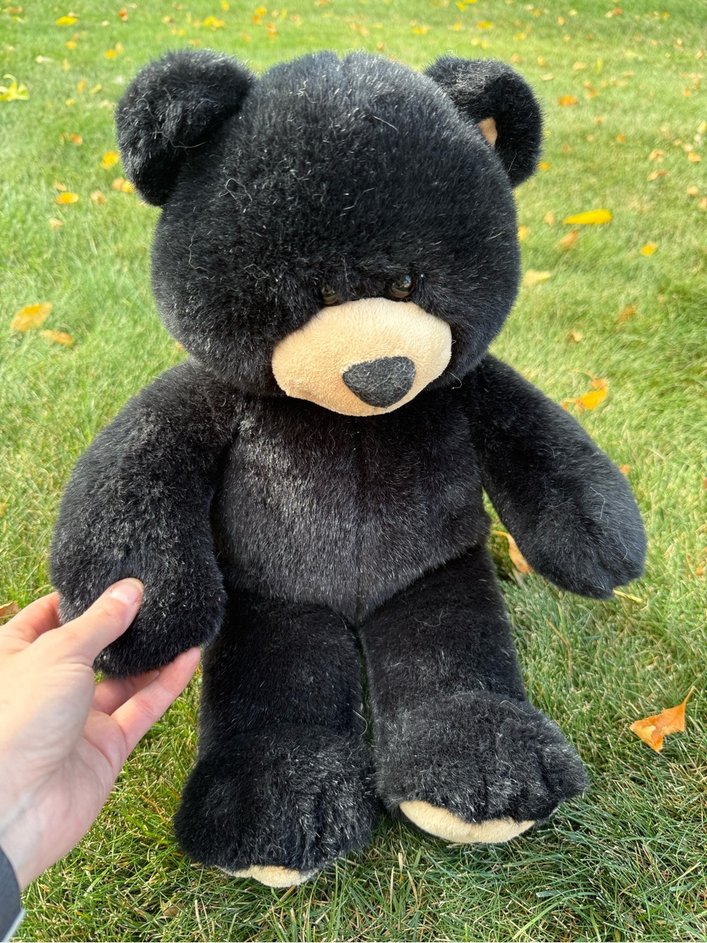 Build a bear black bear